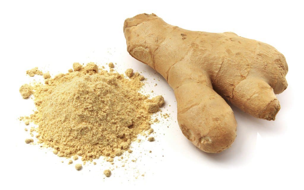 Ginger — Zingiber officinale