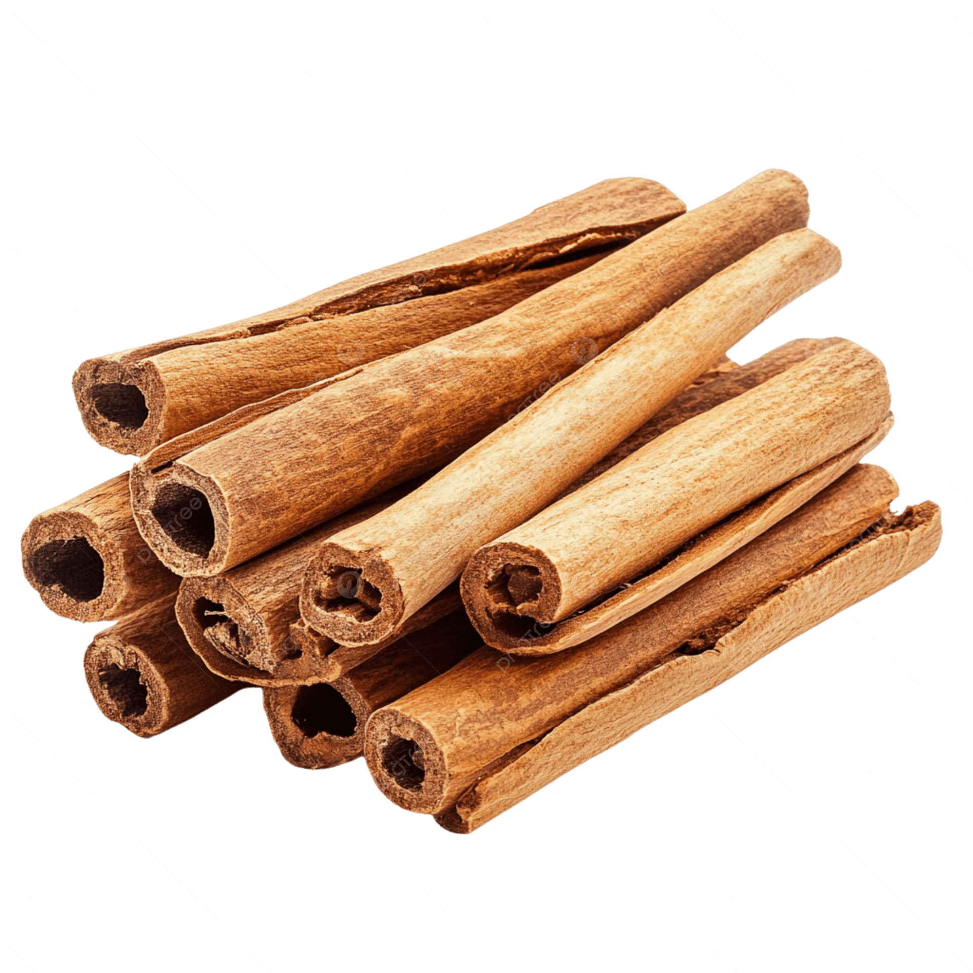 Ceylon Cinnamon — Cinnamomum verum (zeylanicum)